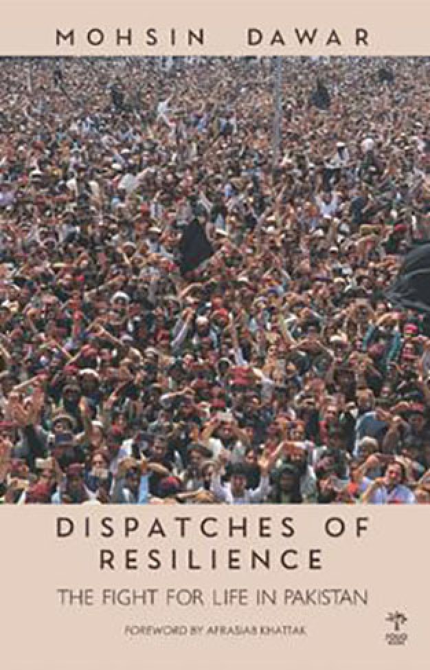 Dispatches Of Resilience: The Fight For Life In Pakistan